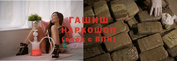 амф Гатчина